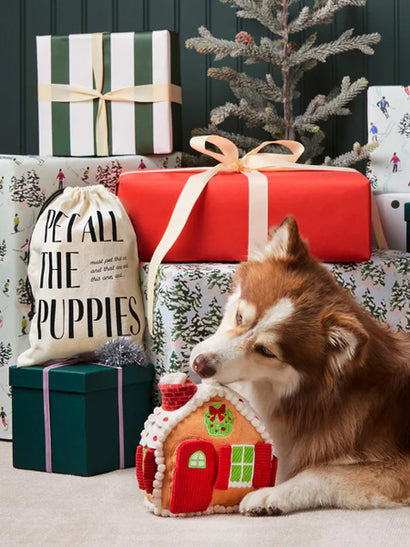 Chien roux couché parmi des cadeaux avec la maisonnette