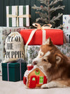 Jouet d’occupation pour chien – Maison en pain d’épices – The Foggy Dog
