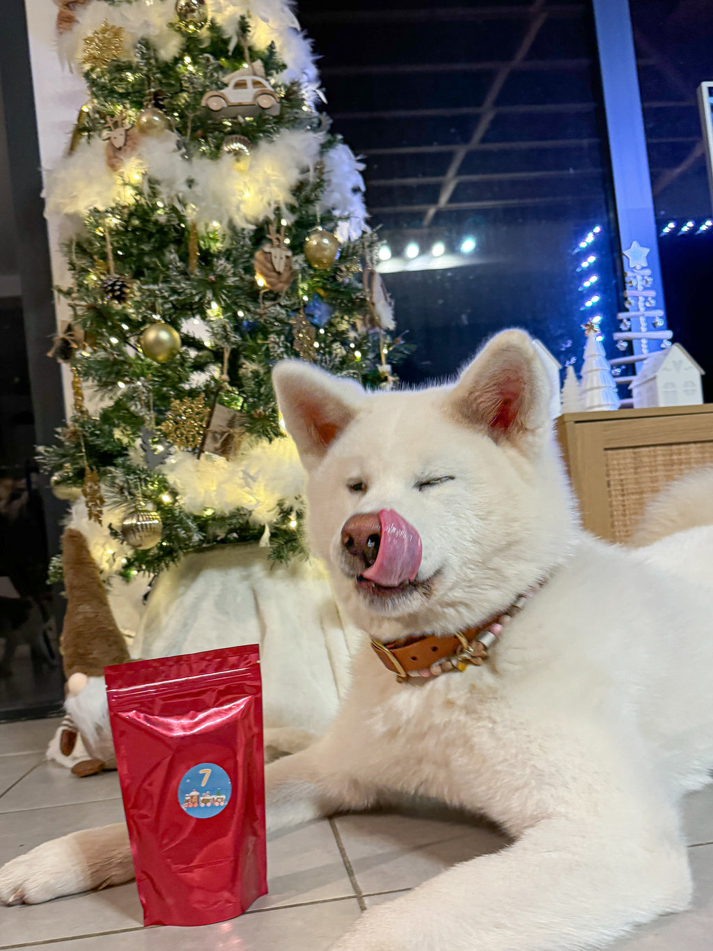 Hotte de Noël 2026 pour chien – calendrier de l’avent - 26 surprises