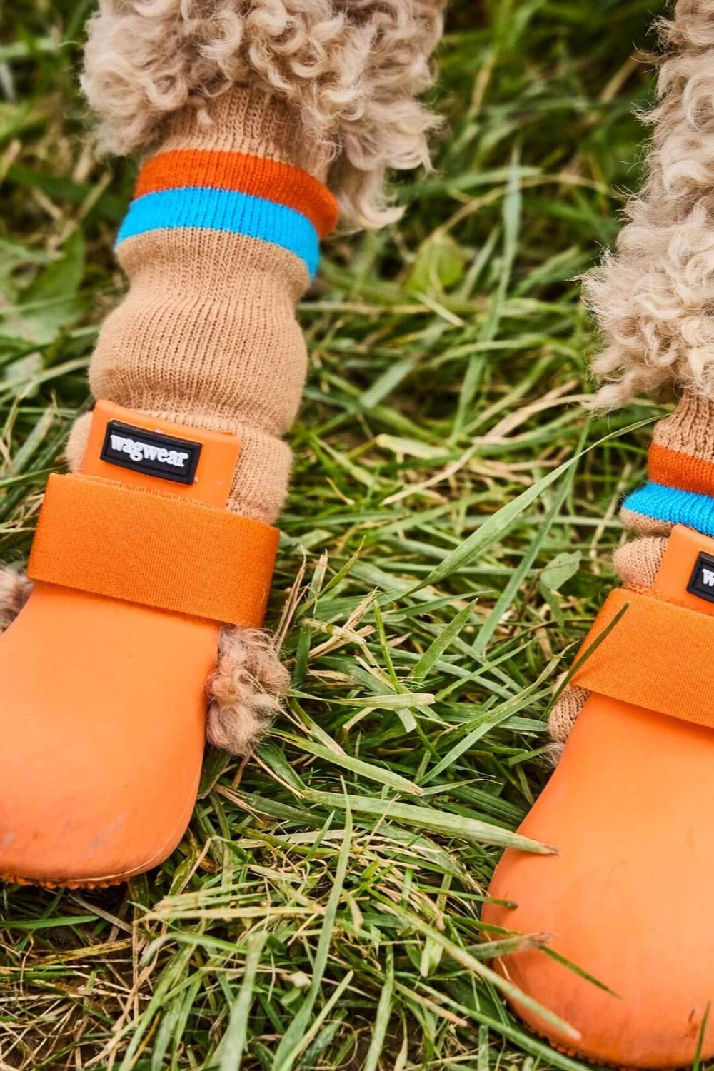Bottes pour chien WagWellies Original – Wagwear