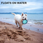 Chien qui rapporte le frisbee Easy Disk au bord de la mer – il flotte sur l'eau