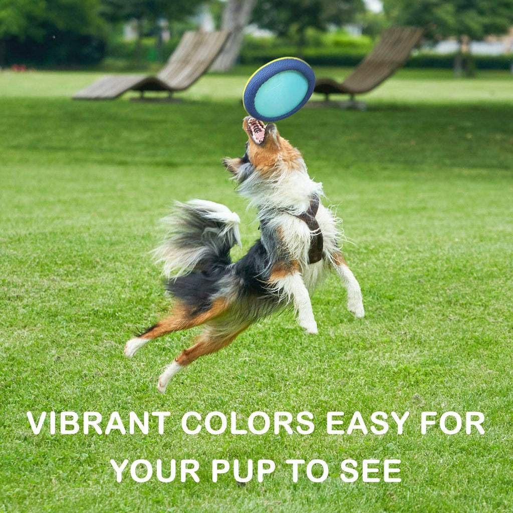 Chien qui saute pour attraper le frisbee souple Easy Disk dans un parc
