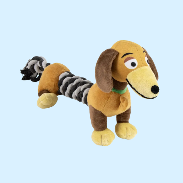 Jouet Toy Story Zig Zag avec Corde Dentaire pour Chien – Produit Officiel Disney Pixar
