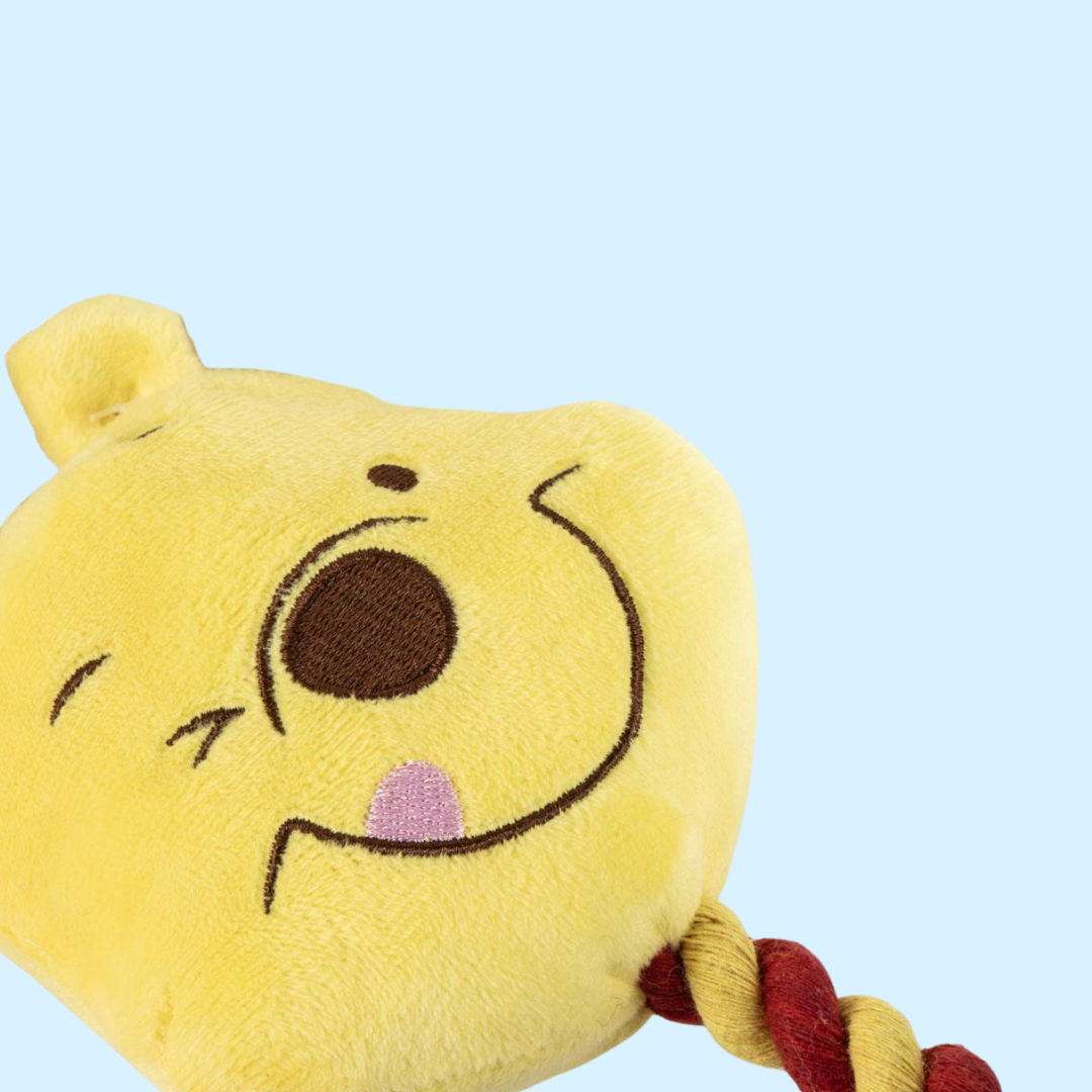 Gros plan sur la tête jaune souriante de l'ourson