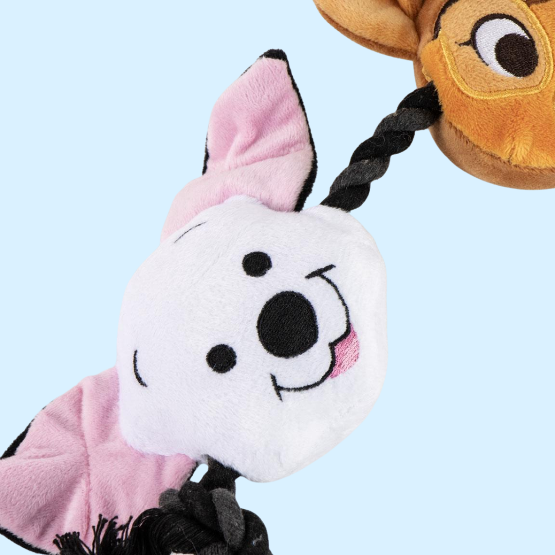 Gros plan sur le chiot blanc aux oreilles roses