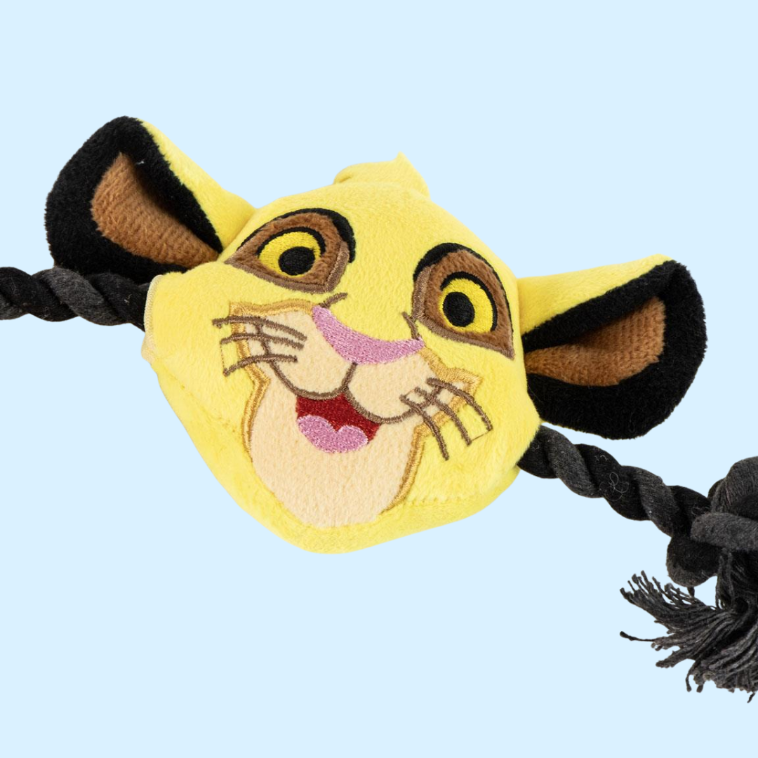 Gros plan sur la tête jaune du lionceau