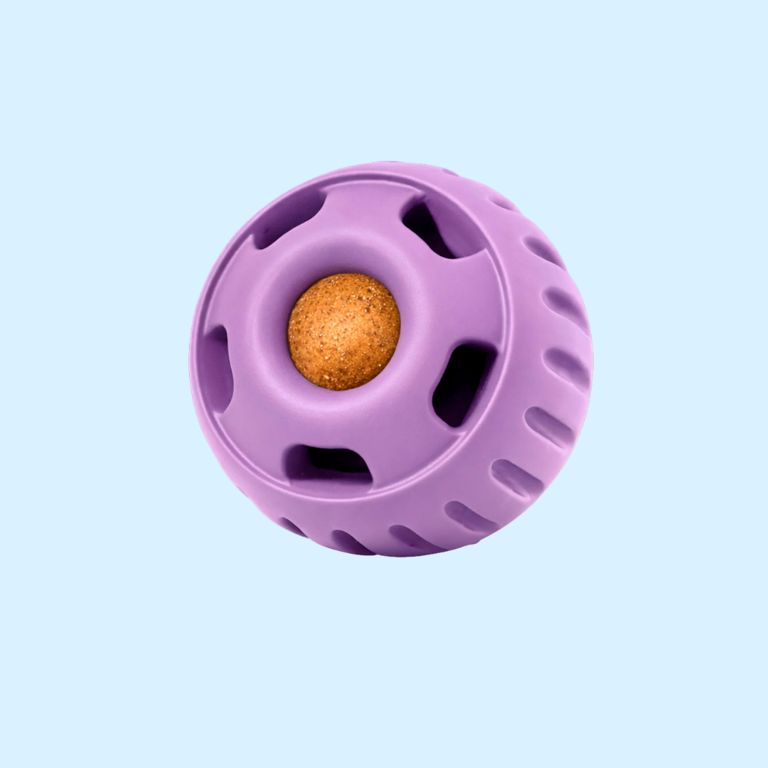 Jouet à lécher pour chien Pupsicle lavande – Woof