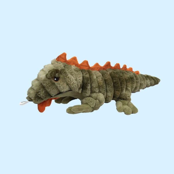 Peluche Géante Iguane Quapas! pour Chien