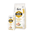 Grand et petit sacs blancs à bandeau doré Fresh Chicken