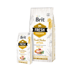 Grand et petit sacs blancs à bandeau doré Fresh Chicken