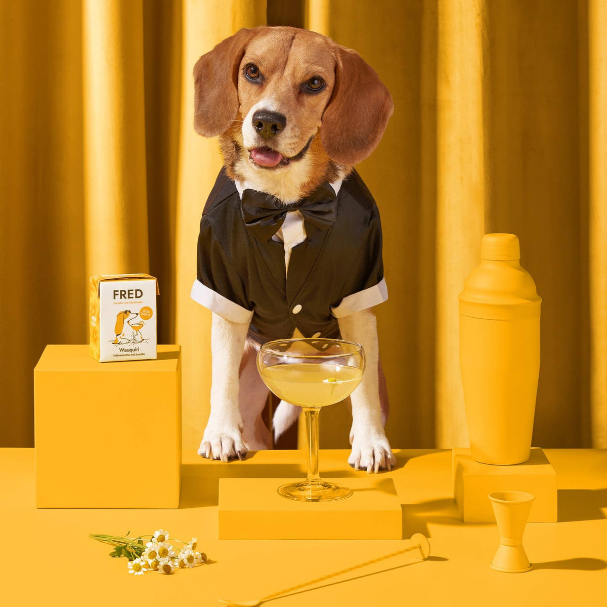 Boisson pour chien au poulet Wauquiri – Fred & Felia