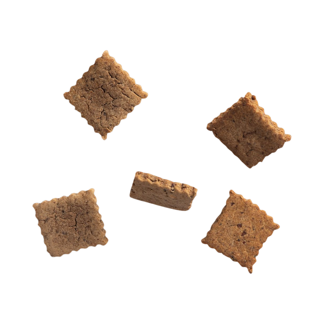 Cinq cookies carrés au pâté de foie éparpillés
