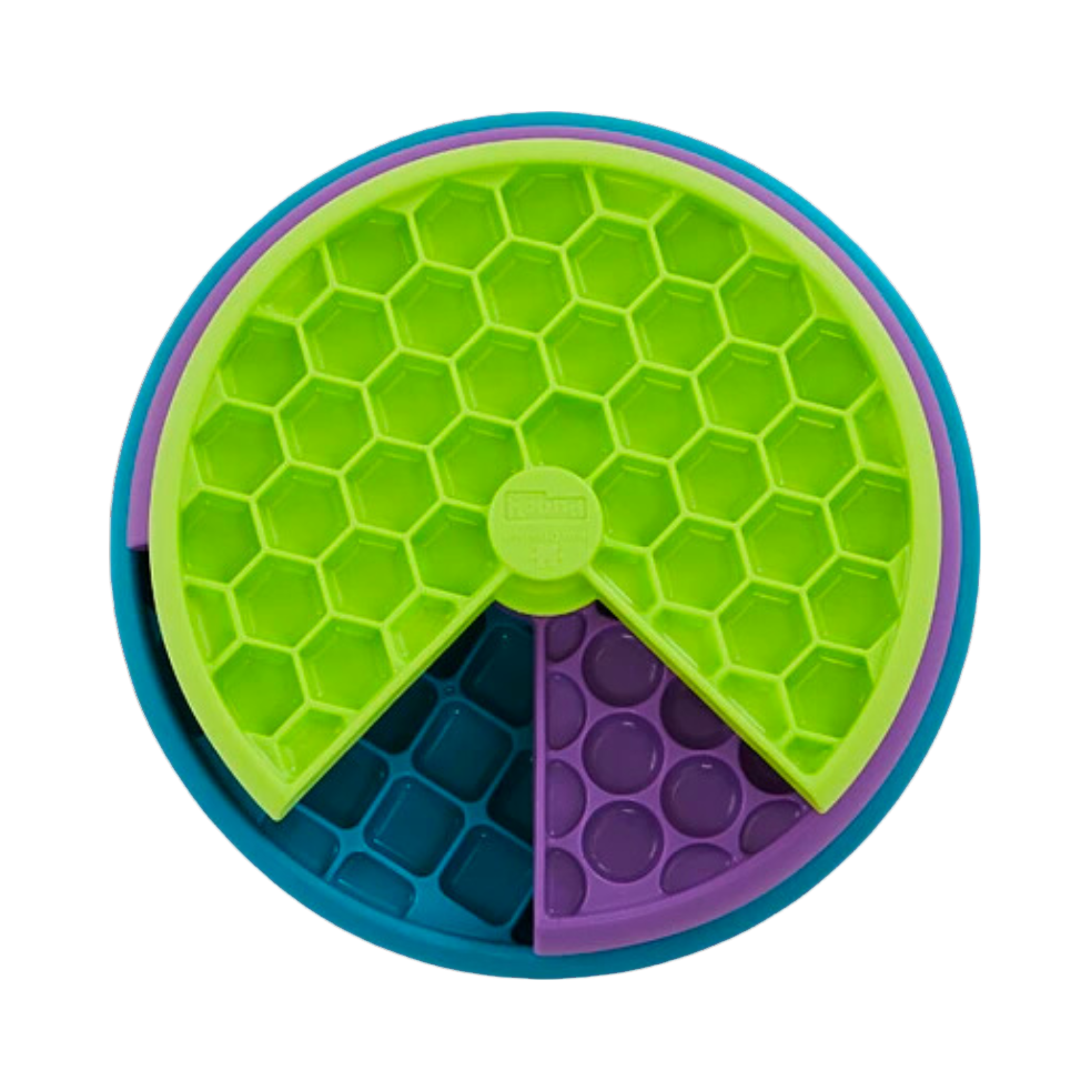 Vue de dessus des compartiments alvéolés vert, violet et bleu