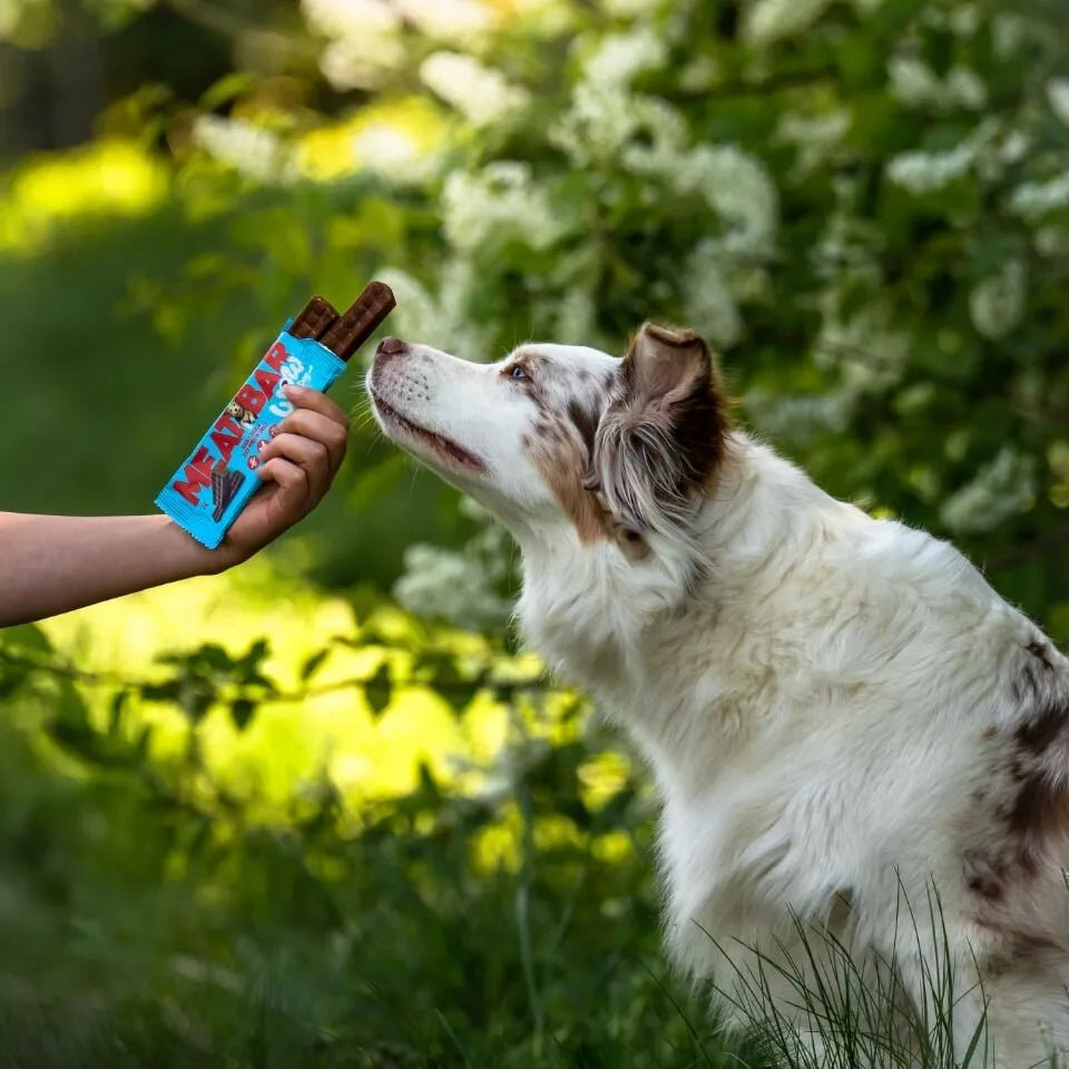 Friandises training meat bar  pour chien poulet – WOW Dog