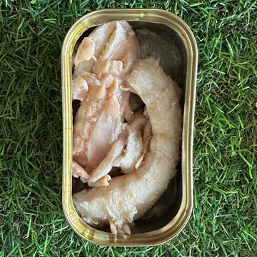 Conserve ouverte de saumon au naturel posée sur l'herbe