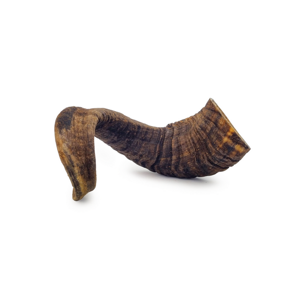 Corne de mouton pour chien – mastication naturelle