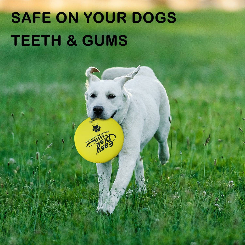 Chien blanc qui rapporte le frisbee Easy Disk jaune dans l'herbe