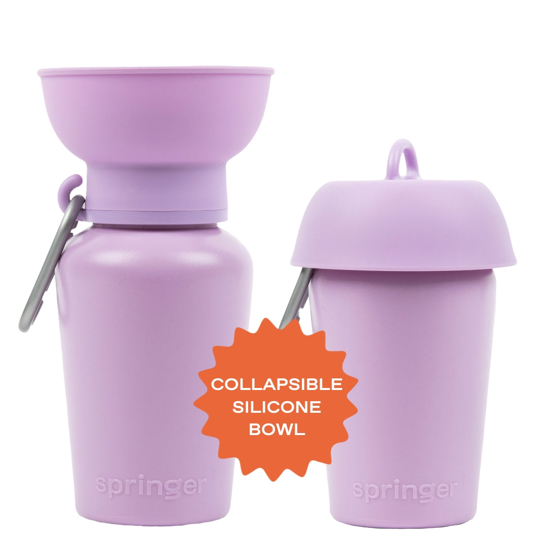 Gourde pour chien avec bol pliable 59 cl – Springer