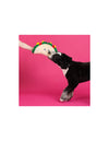 Peluche Géante pour Chien Fringe Studio « Fantas-Taco ! » – Grand Jouet Sonore