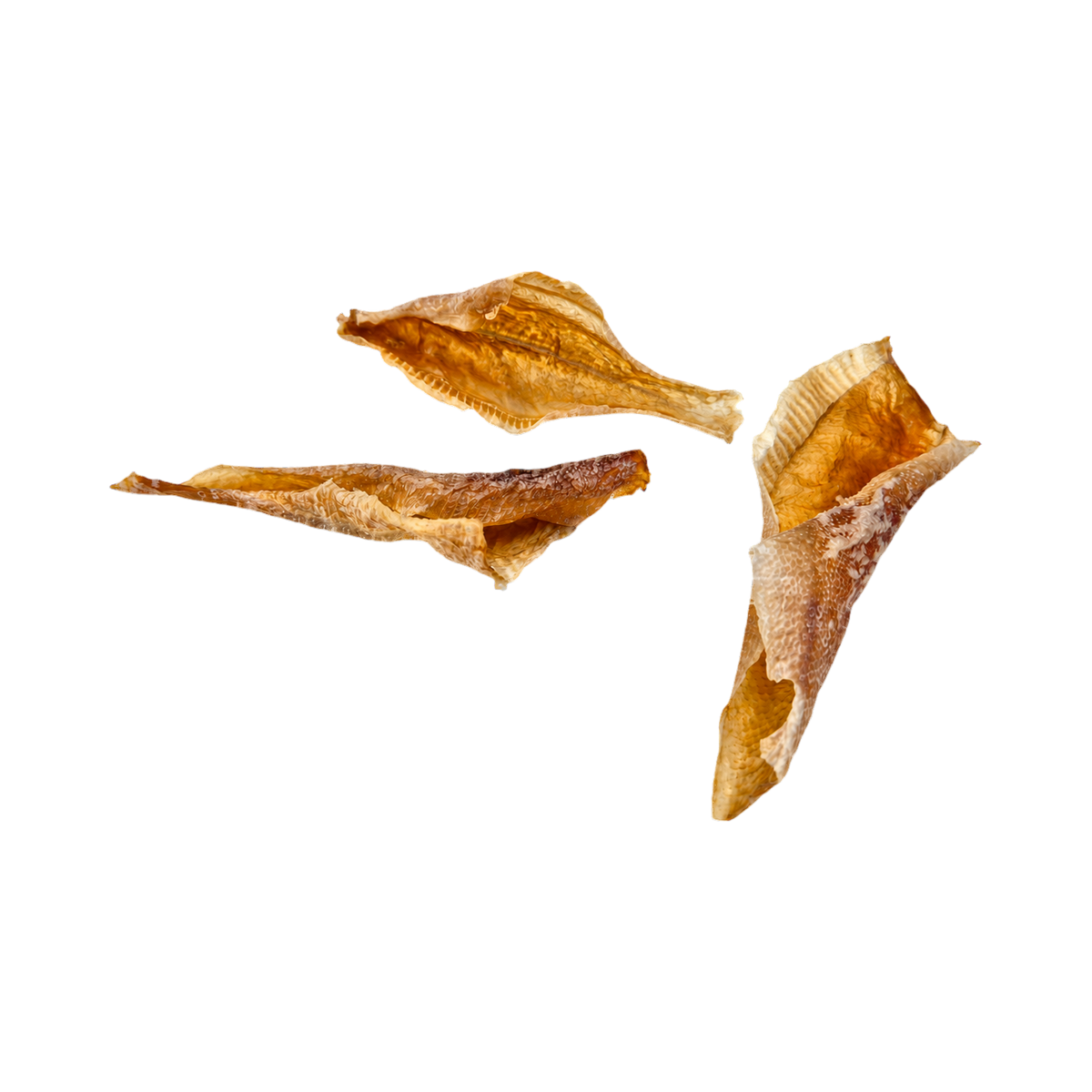 Filets de carrelet séchés dorés