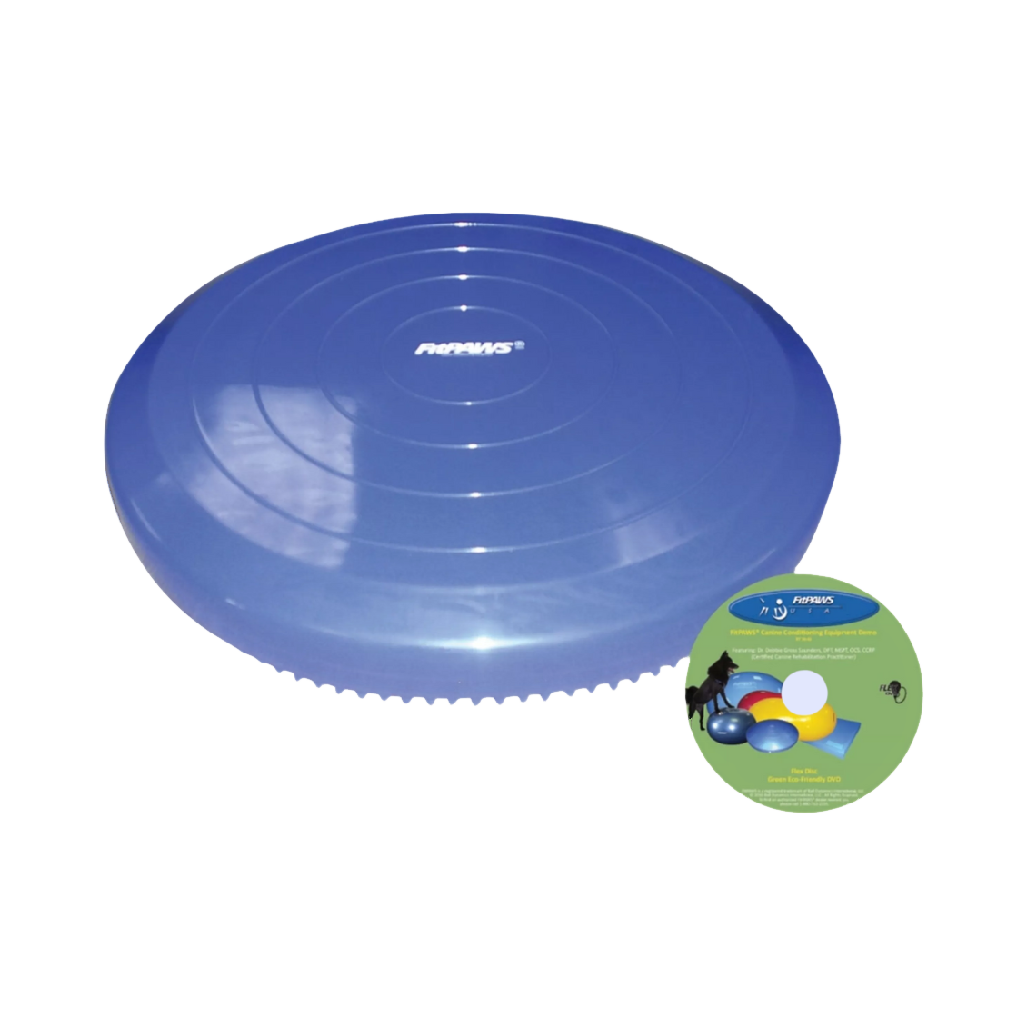 Disque bleu gonflé avec sa pompe à main