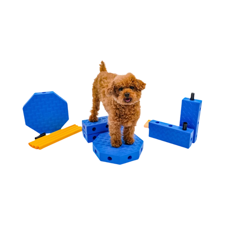 Forme & agilité FitPaws