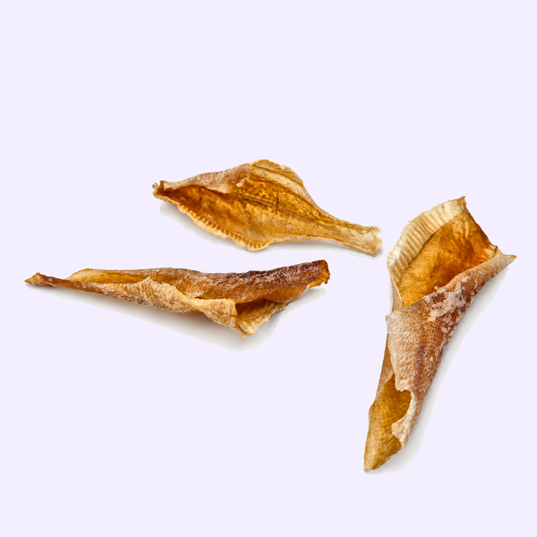 Filet de carrelet séché pour chien – mastication naturelle