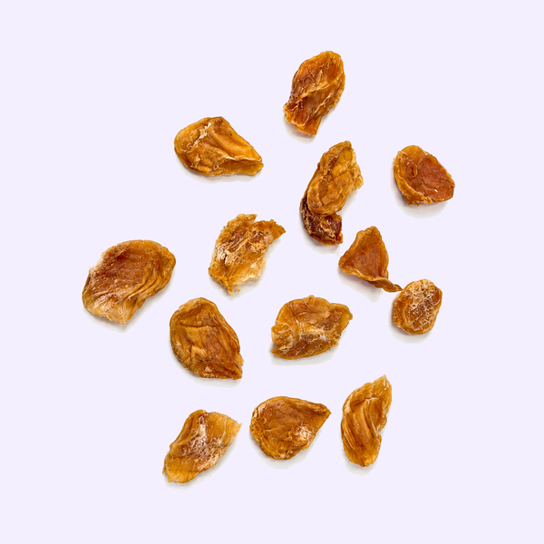 Noix de Saint-Jacques séchées pour chien – friandise naturelle