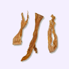 Stick de calamar séché pour chien – mastication naturelle