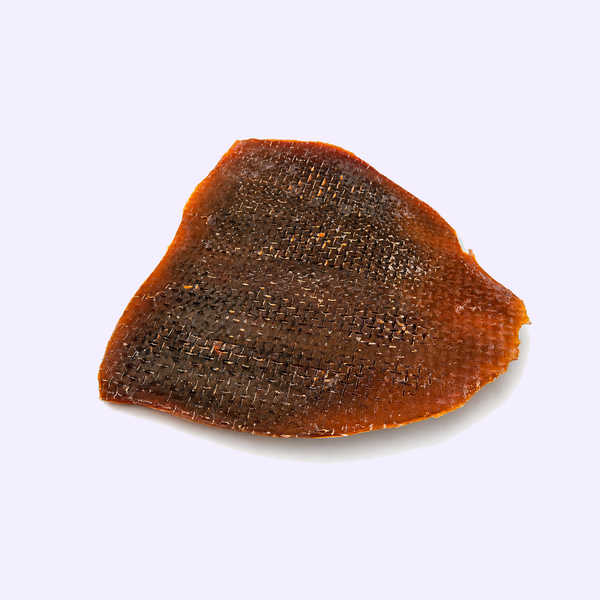 Plaque de calamar XL pour chien – mastication naturelle – 300-400 g