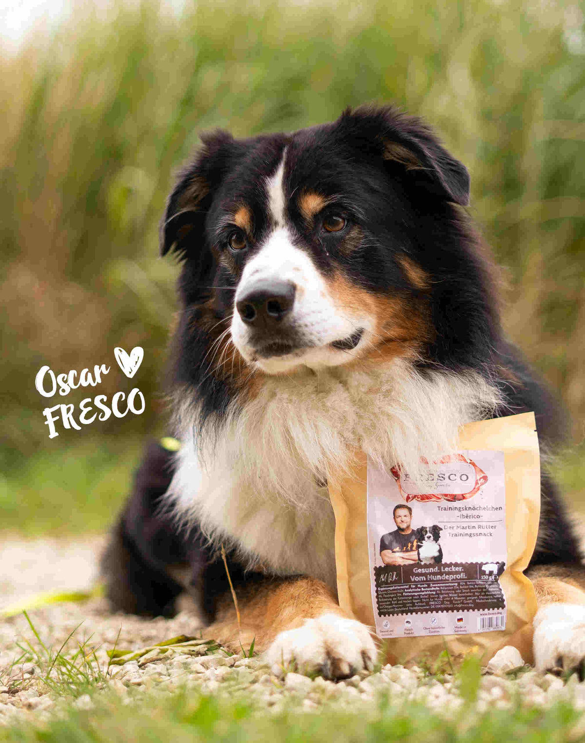 Chien couché avec le sachet de friandises training Fresco au porc ibérique