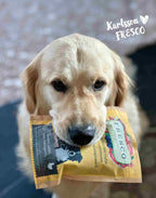 Golden retriever avec le sachet de friandises training Fresco poulet & myrtilles