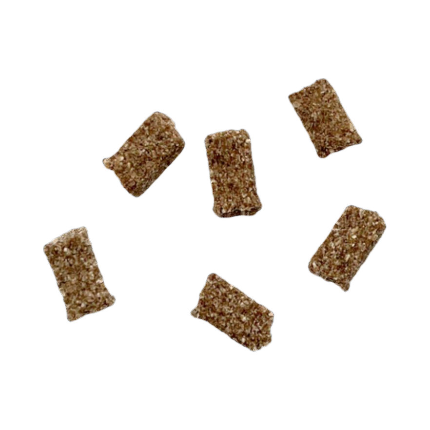 Six bouchées rectangulaires au saumon éparpillées