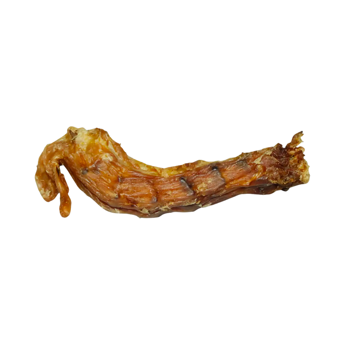 Cou de poulet séché seul, vu de profil