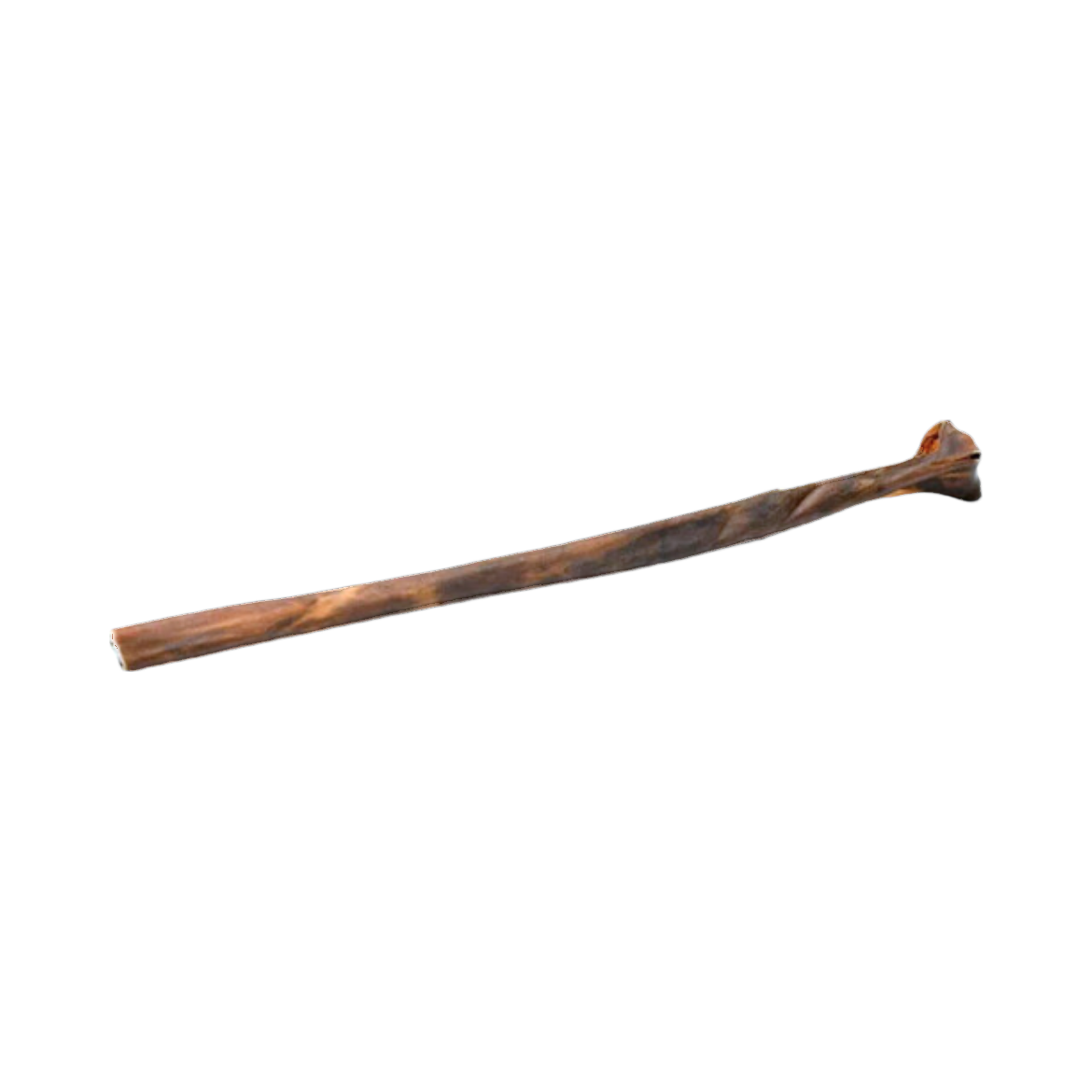 Bâton de peau de sanglier séchée, fin et long