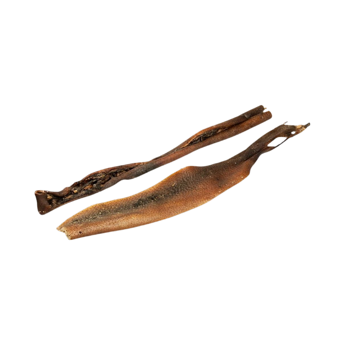 Deux longues lanières de peau de cerf séchée