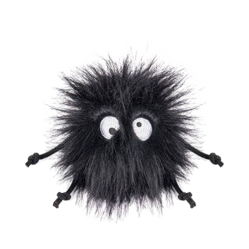Boule de poils noirs hirsute aux grands yeux ronds
