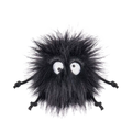 Boule de poils noirs hirsute aux grands yeux ronds