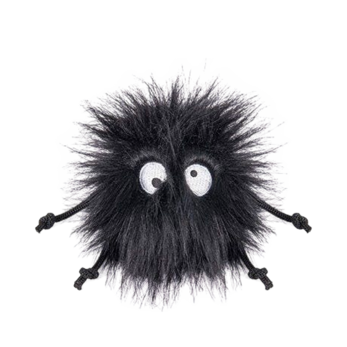 Boule de poils noirs hirsute aux grands yeux ronds