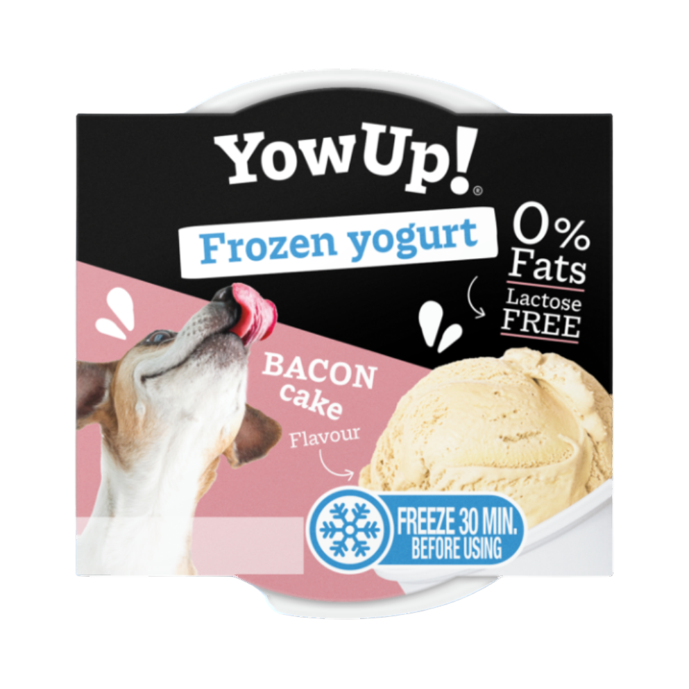 Pot de Frozen yogurt YowUp Bacon cake à glacer