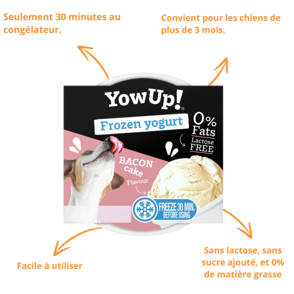 Pot YowUp Frozen Yogurt et ses atouts : sans lactose, 30 minutes au congélateur