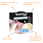 Pot YowUp Frozen Yogurt et ses atouts : sans lactose, 30 minutes au congélateur