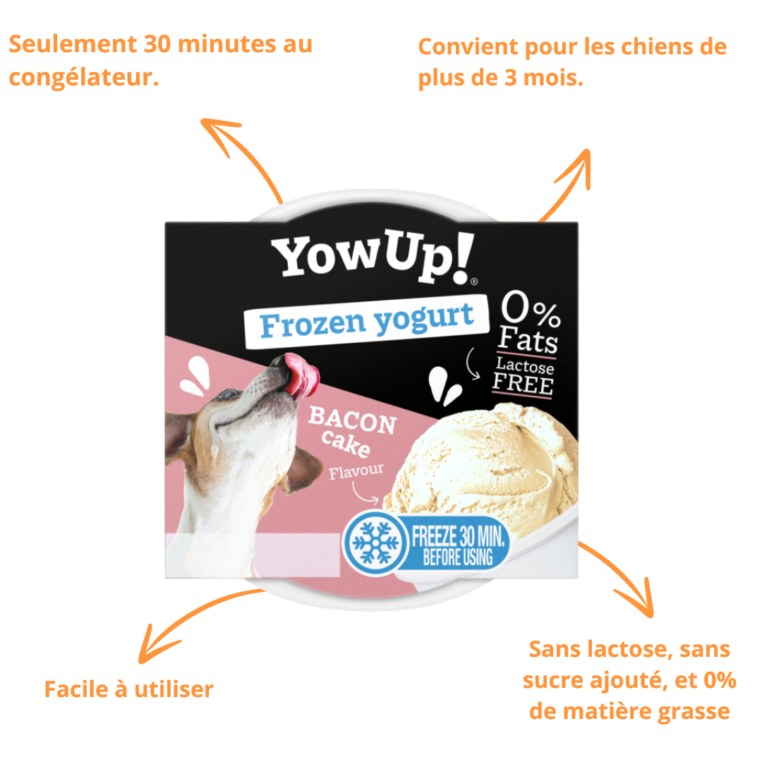 Pot YowUp Frozen Yogurt et ses atouts : sans lactose, 30 minutes au congélateur