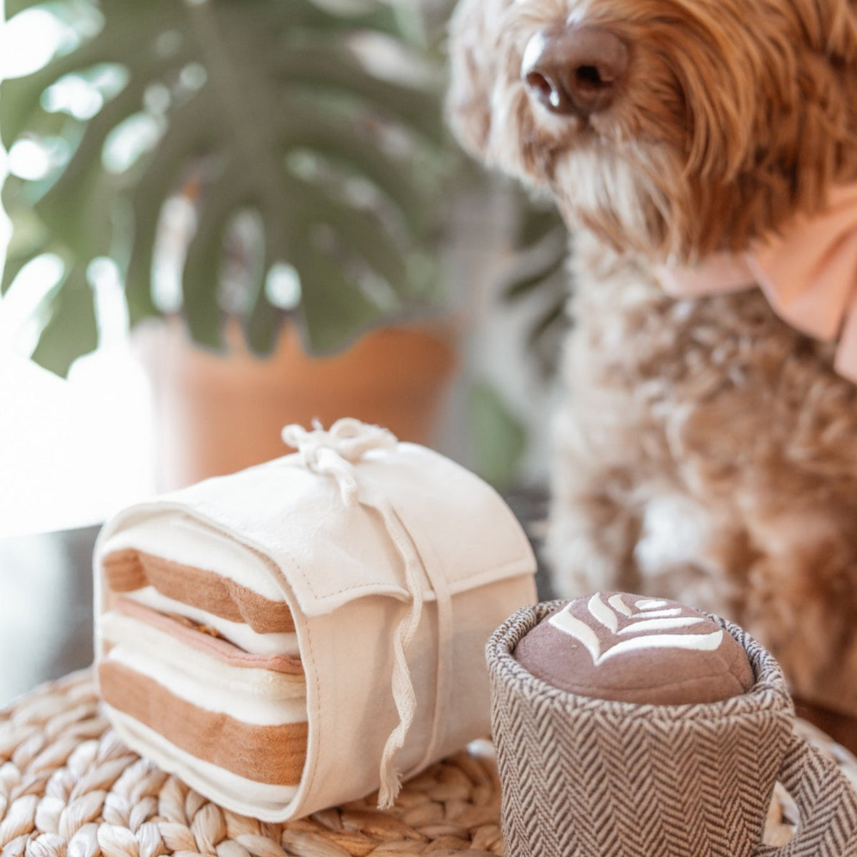 Chien frisé à côté du sandwich plié et d'une tasse de café