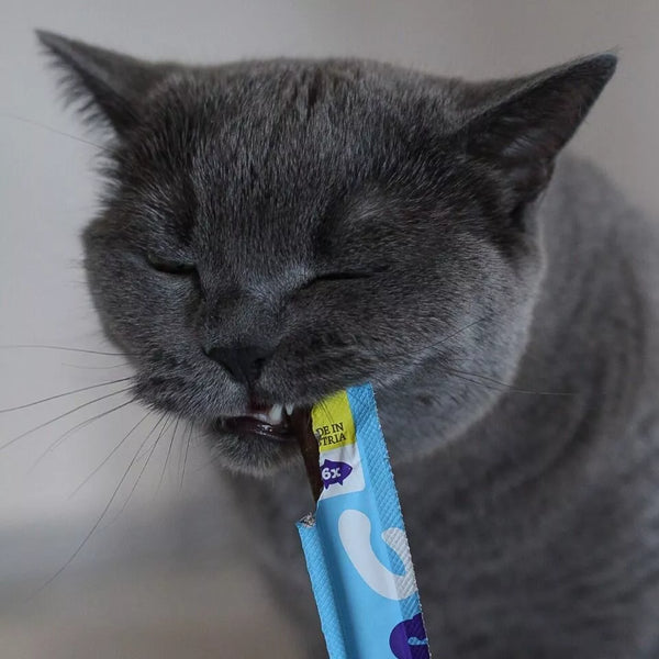 Friandises pour chat Soft Sticks au saumon – WOW – 30 g