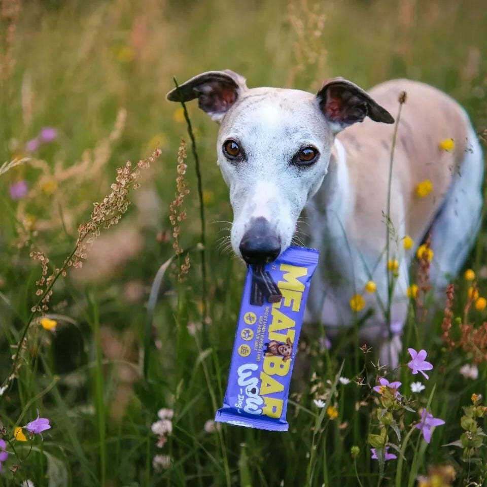 Friandises training pour chien cerf & agneau – WOW Dog
