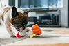 Trio de sushis en peluche pour chien Spot's Sushi – P.L.A.Y. – photo 3