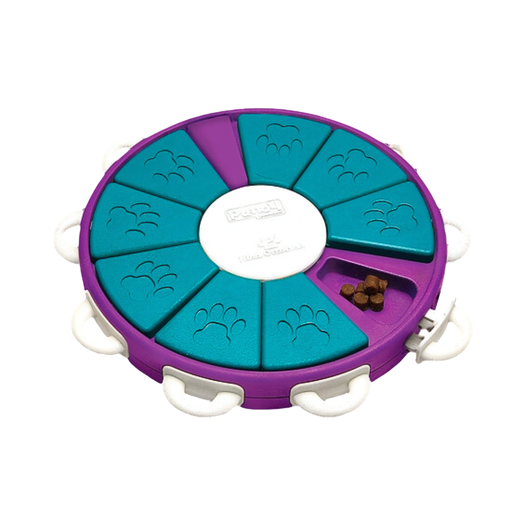 Plateau rond violet et turquoise à volets pivotants
