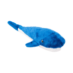 Baleine bleu roi au ventre blanc, vue de trois quarts