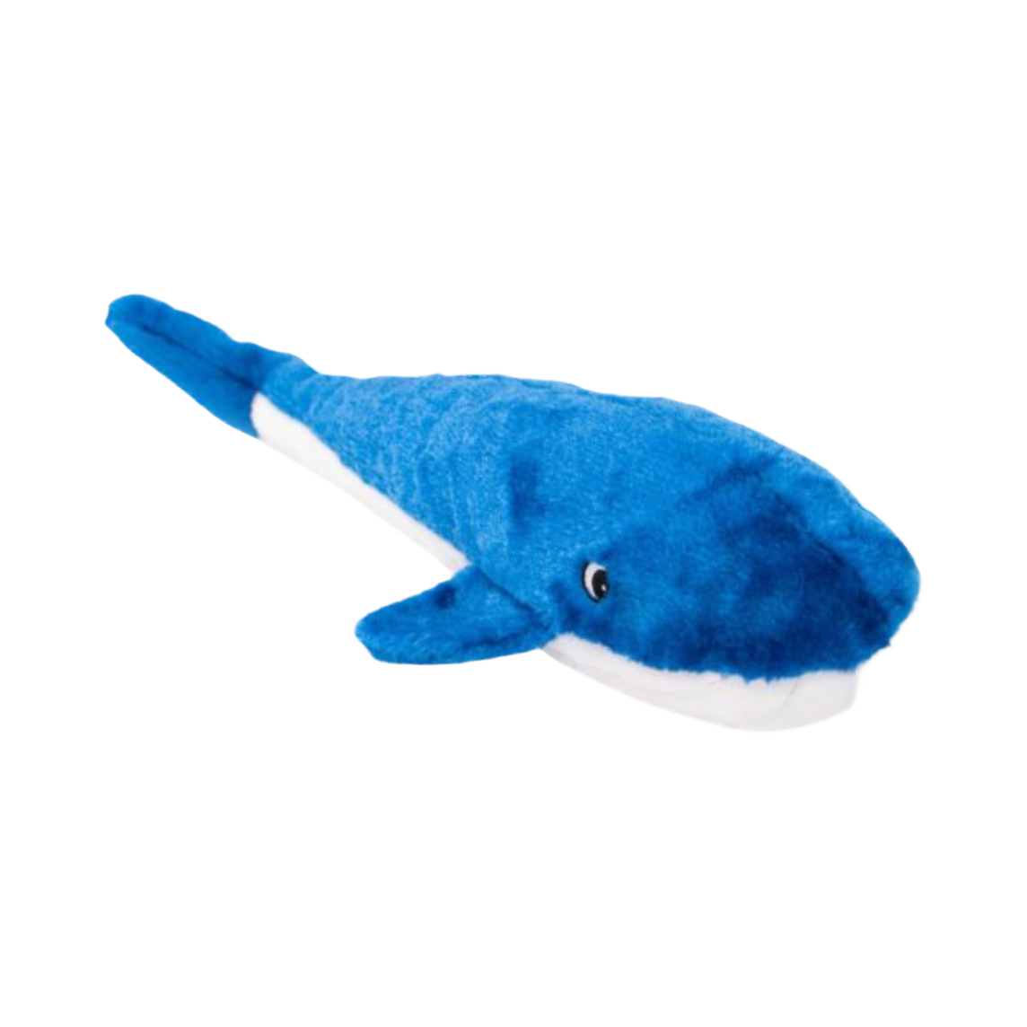 Baleine bleu roi au ventre blanc, vue de trois quarts